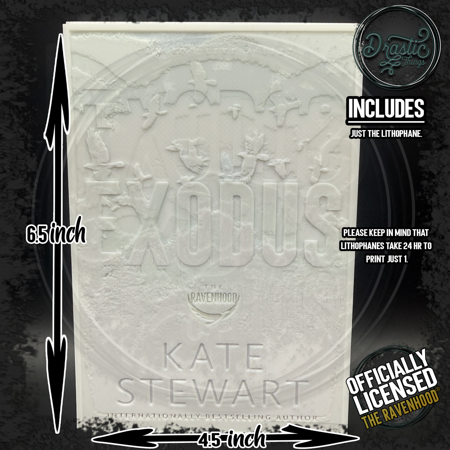 Light up Book Lithophane with or without light/frame Please watch Video!